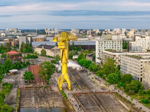 La grue jaune trône majestueusement