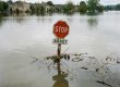 Un panneau stop se noie dans les bords de Loire