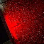 La nuit de l'Erdre en Rouge et noir.