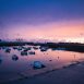 Le Port des Flamands à Cherbourg.